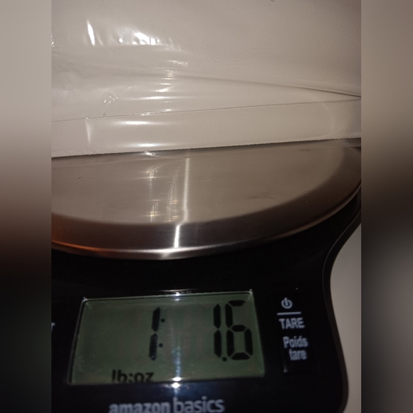 NWT Christmas Tree Shops Dinosaur Canvas Wall Art Triceratops - Picture 7 of 7